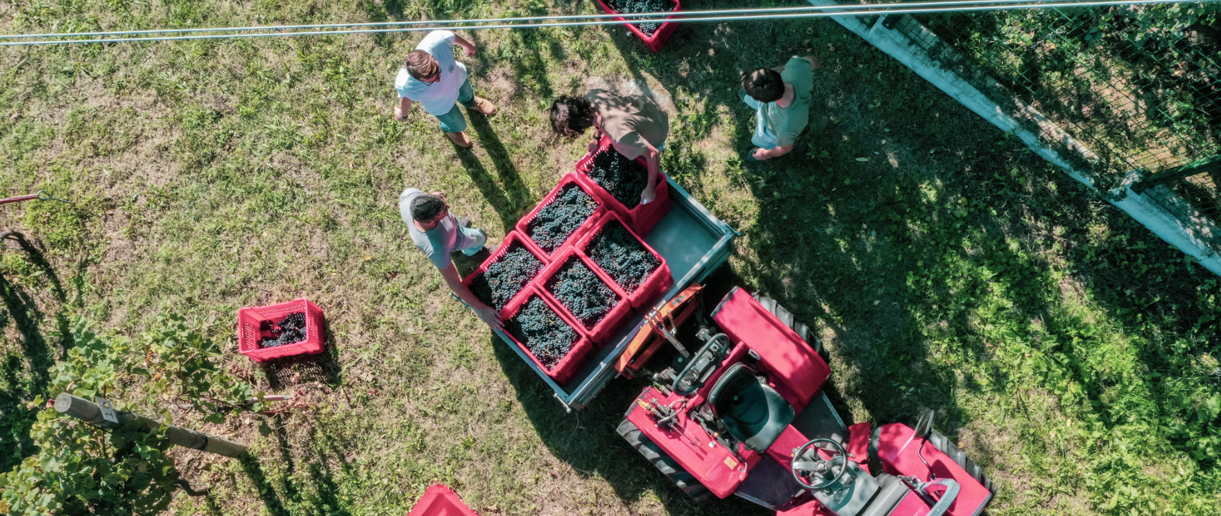 braccia_rese_agricola_piemonte